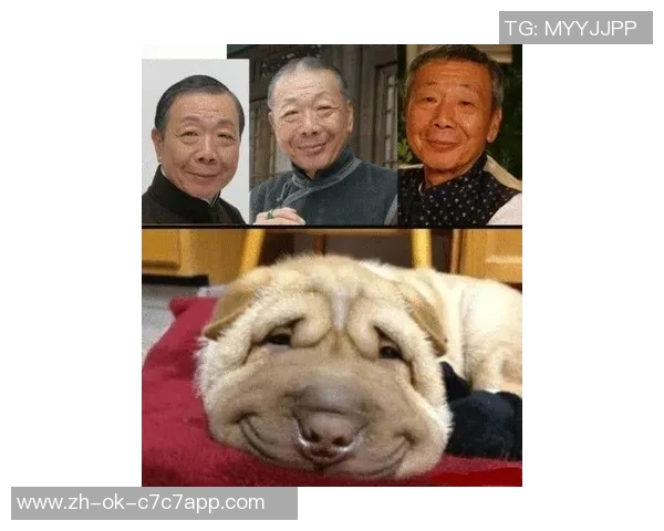 足球孙狗:从草根到明星的逆袭之路与背后的奋斗故事 足球孙狗:从草根到明星的逆袭之路与背后的奋斗故事